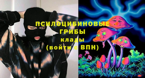 таблы Коряжма