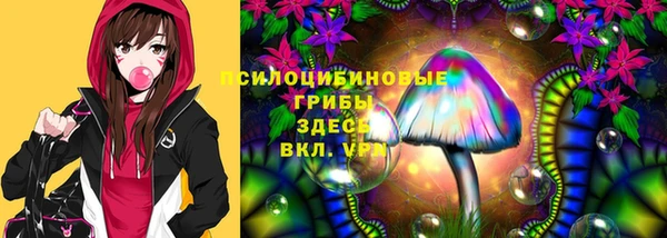 apvp Костерёво
