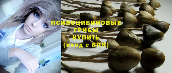 герыч Корсаков